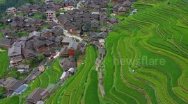 Jiapang Rice Terraces  in Congjiang, China