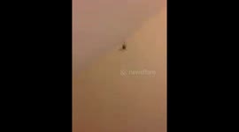 Huntsman in the Dark - When you can’t see what’s there it is more terrifying