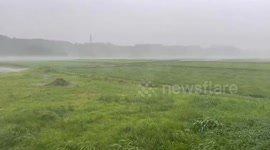 Japan: Typhoon Khanun Brings High Winds, Heavy Rain To Kyushu 5