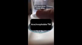TikTok biologist shows just how paralysing a wasp sting can be Part 2/3