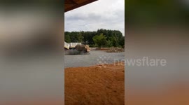 Clever driver carries heavy logs on reverse and hits the brakes to slide them off