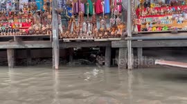 Massive monitor lizard amazes tourists at floating market in Thailand