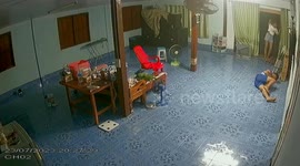 Father leaps from seat to save erratic cat from running through door