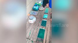 Resident's wooden hut has secret spectacular hidden view below his floor