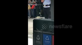 Snakes found in railway station bin in China