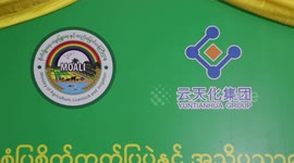 Chinese firm shares rice planting technology with Myanmar farmers
