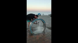 Dog Gets a Bath at the Beach