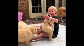 Little Man Viciously Piled On By Puppies