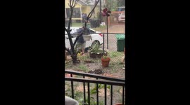 Got to Love the Weather in Houston