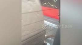 Snake terrifies family when it emerges on pickup truck in Thailand