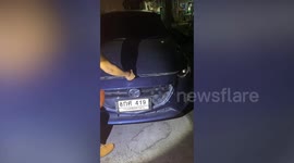 Python snake found sleeping under car bonnet in engine