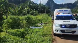 British shipping chief killed in head-on motorcycle crash 'a day after arriving in Thailand' for holiday