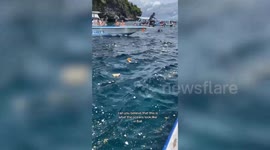 Tourists reveal plastic waste in water at Bali snorkelling beauty spot