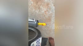 Motorcycle exhaust makes amusing sounds with squeaky chicken toy