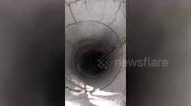 Rescue team saves dog stuck at the bottom of well in Thailand