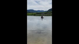 Prankish horse starts acting funny and sends rider into water