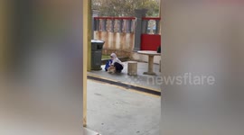 Cute schoolgirl tries to stuff cat into her bag in Malaysia