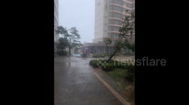 South Korea: Khanun Makes Landfall, Bringing Heavy Rains, Winds 2