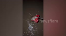 Kind tourist carries beached puffer fish back into sea