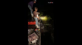 Determined boys' late-night frogging adventure turns into an alligator-ing affair