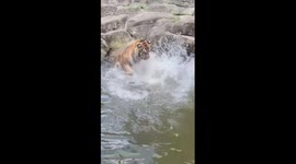 Zoo provides fruits and ice for animals to beat the summer heat in China