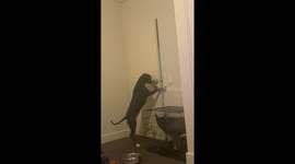 Luna Lets Herself Out