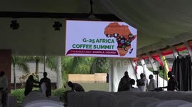 African coffee-producing countries push for intra-continental trade of coffee products