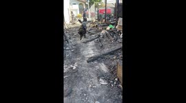 Accelerant Detection K9 Sniffs Out Gasoline