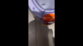Troublesome Toilet Technology
