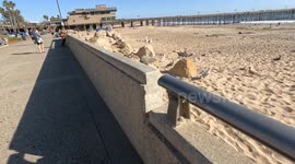 A shot of Ventura Pier, Ventura State Beach CA with seagulls on the rocks next to the promenade