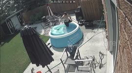 Man Slides Backwards Out Of Inflatable Pool