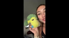 Chihuahua Has Beef With Broccoli Toy