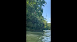 Onlookers cheer as brave blind man takes leap into river
