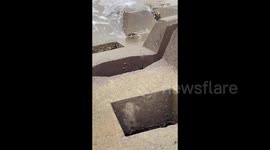 File Footage: Fishing for a Crab in Haikou, Hainan, China