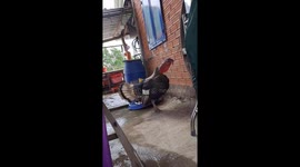 The funny turkey repeats the man's cry