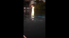 Dolphin leaves electric blue trail hunting fish through bioluminescent algae