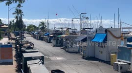 Hawaii town on Maui | Before Lahaina was destroyed | Wildfire destroyed tourist hotspot town Lahaina on Maui in Hawaii | video filmed shortly before the fire devastated Lahaina