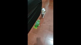 Bird Calls Dog A Dirty Word