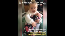 Girl Meets Baby Sister for the First Time