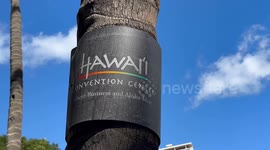 Shelter for Maui residents and tourists is Oahu Convention center | about 100 people, mostly tourists, found shelter at Hawaii Convention Center on Oahu | American and Hawaiian Flags on half mast in front of the convention center Oahu