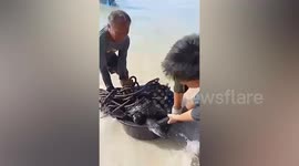 Locals rescue sea turtle stuck in net and covered in oil from spillage in southern Thailand
