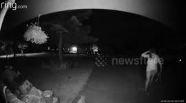 Attack by worm or unidentified phenomenon