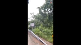Man finds an abandoned black kitty while looking for a fishing spot
