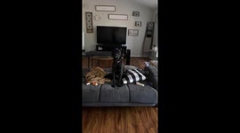 Woo Woo's on Command