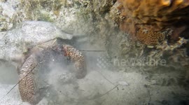 Underwater Excavation