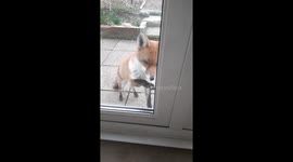 The Most Polite Visitor