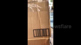 US: Donation Drives Held At Hawaii State Capitol For Maui Wildfire Victims