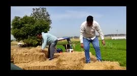 parali parbandhan