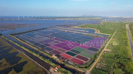 Salt Field in Rongcheng, China