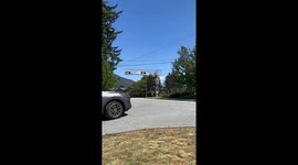 Celebrity Trains, They're Just Like Us